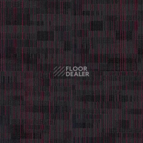 Forbo Tessera Alignment 243 Cosmic Ray фото 2 | FLOORDEALER